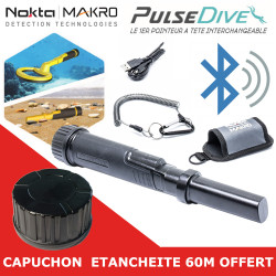 Pulse Dive Pointer + capuchon 60m offert