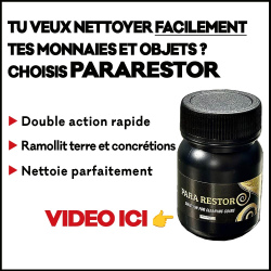 nettoyeur 2 en 1 monnaies