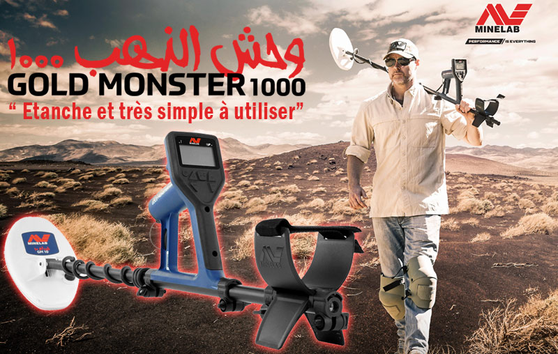 Détecteur d'or pas cher, Minelab Goldmonster