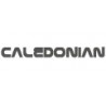 Caledonian